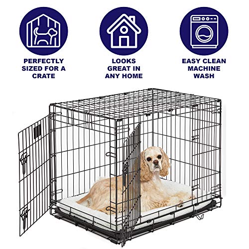 QuietTime Dog Bed (White / 24 Inch)
