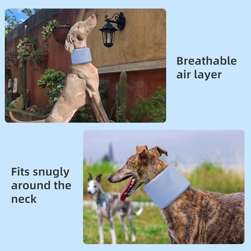 Dog Neck Brace for Pet After Surgery Recovery Adjustable Breathable Neck Cervical Cone (Blue / XL)