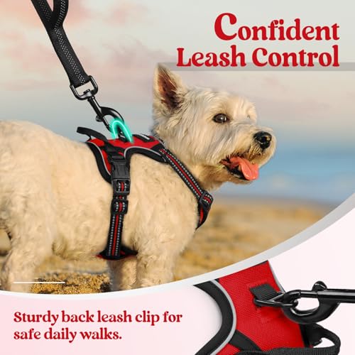 Dog Harness No Pull for Small Dogs with 2 Leash Clips (X-Small / Red)