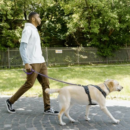 Chain Dog Leash (purple / 7.25FT(30-80lb))
