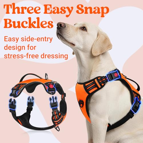 Large Dog Harness (Large / Orange)