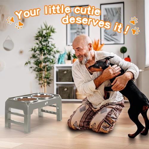 Elevated Bowls (Light Brownish Gray / 8" for Medium Dogs)