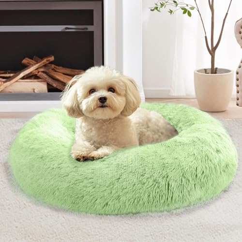 Calming Dog Bed for Small Dogs (Light Green / 23.0"L x 23.0"W x 8.0"Th)