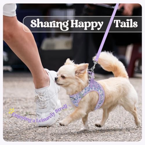 Dog Harness Medium Sized and Leash Set (Lavender Floral / M (chest: 16 - 18.5"))