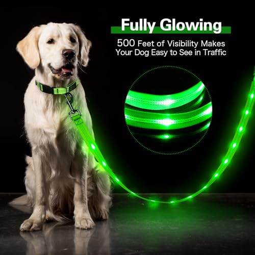 Light Up Dog Leash (Green)