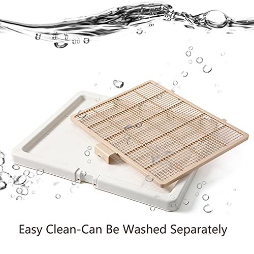 Large 76X62CM Pet Training Tray (29.92x24.4 Inch (Pack of 1))