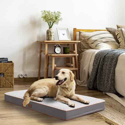Washable Orthopedic Small Dog Bed (Light Grey / 24.0"L x 16.0"W x 3.0"Th)