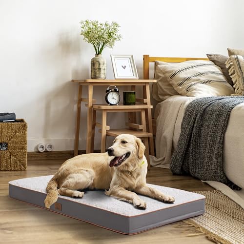 Washable Orthopedic Medium Dog Bed (Light Grey / 30.0"L x 20.0"W x 3.0"Th)