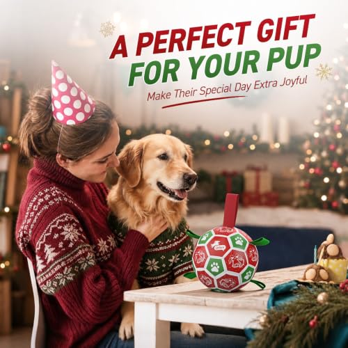 Christmas Dog Balls with Straps (Christmas 2 / 8 Inch)