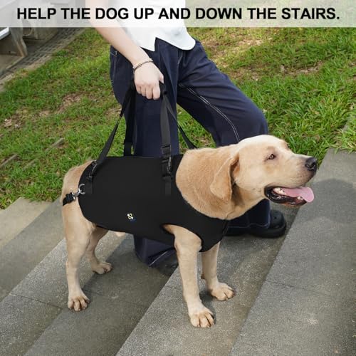 Dog Lift Harness (Large / Black)