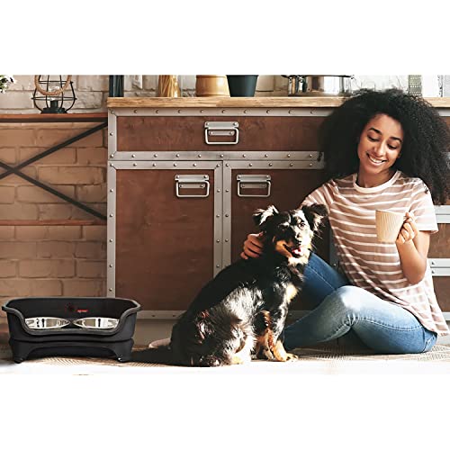Express Mess Proof Dog Bowls Elevated for Small Breeds Under 15 Lb (Small w/ Standard Bowls / Midnight Black)