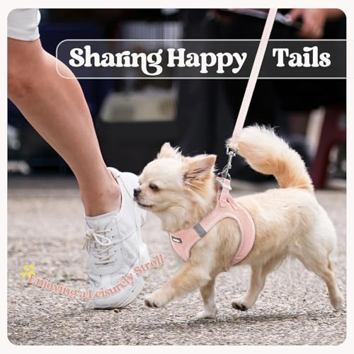 Dog Harness Small Sized and Leash Set (Pink / S (chest: 15.1 - 16.5"))