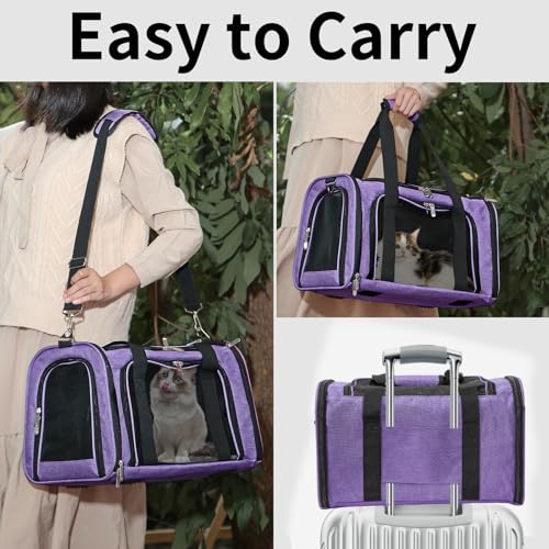 Soft Sided Cat (Purple / 17"L x 11"W x 11"H)
