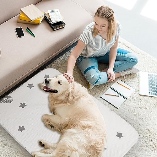 Waterproof Dog Bed for Large Dogs (Light Grey / 38" X 26" X 1.5")