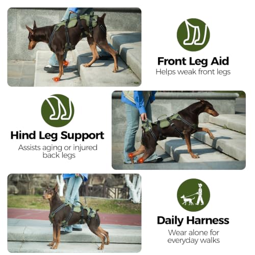 Dog Lift Harness for Large Dogs (Green / Large)