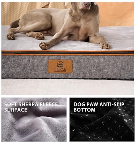 Orthopedic Memory Foam Giant Dog Bed (53.0"L x 36.0"W x 6.0"Th / Light Grey)