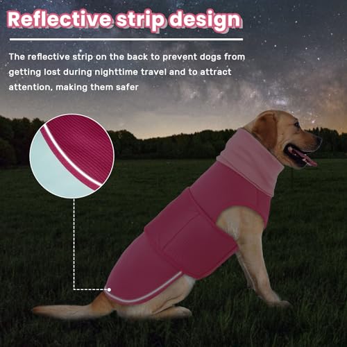 Dog Anxiety Vest with Hoodie (Large / Rose Red)
