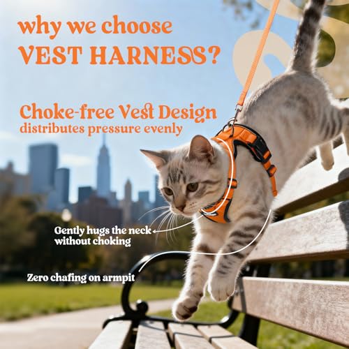 Cat Harness and Leash Set (Xxs / Orange)