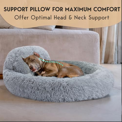 PetJett Dog Beds Large Sized Dog (Bright Grey / Large - 36”L x 36”W x 8”Th)