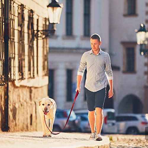 5FT Heavy Duty Dog Leash with Soft Padded Double Handle (5 FT x 1 in Wide / Red)