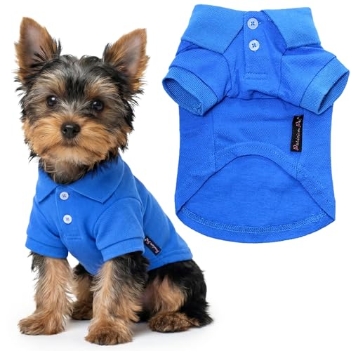 Dog Polo Shirt (XS / Blue Polo)