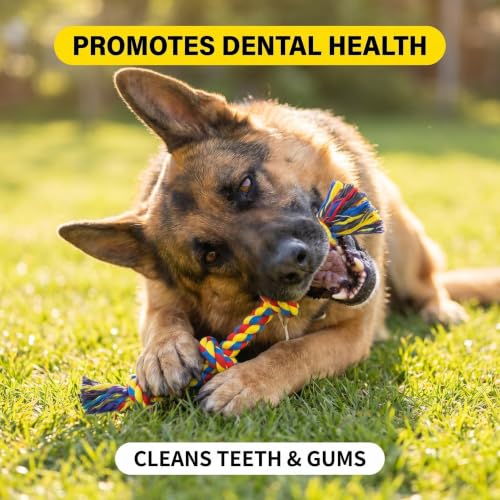 9 Pack Large Dog Rope Toys for Aggressive Chewers