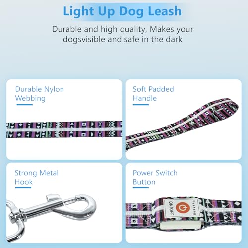 Light up Dog Leash USB Rechargeable for Small Medium Large Dogs (Bohemian purple / L59in/W1in)