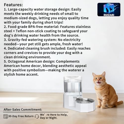 4L Stainless Steel Gravity Water Dispenser (White / 4L Without Filter)
