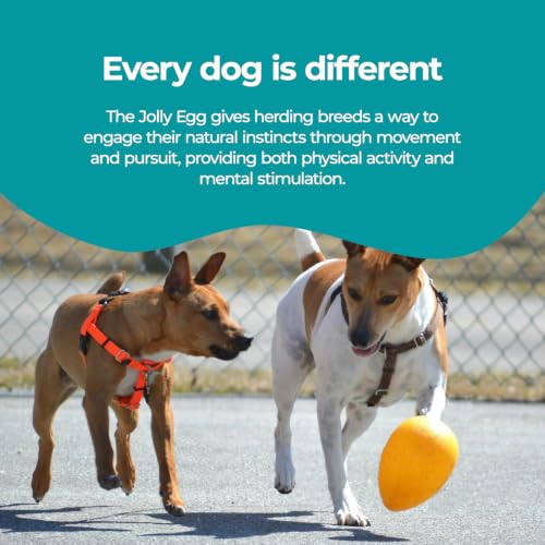 Jolly Egg Herding Dog Toy (Large (12 in) / Yellow)