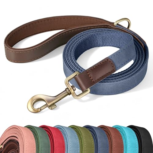 PU Leather Dog Leash for Medium Dogs (Blue / 3/4''x 5FT)