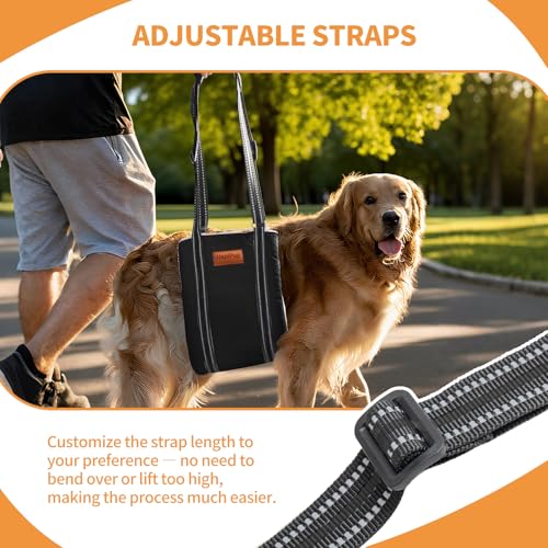 Dog Lift Harness for Large Dogs (Large (Pack of 1) / Black)