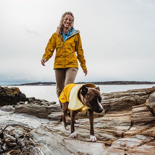 Sun Shower Dog Raincoat (Mineral Yellow / Large)