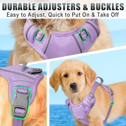 Dog Harness for Small Sized Dog No Pull Dog Vest ID Tag Pocket (Violet Purple / X-Small)