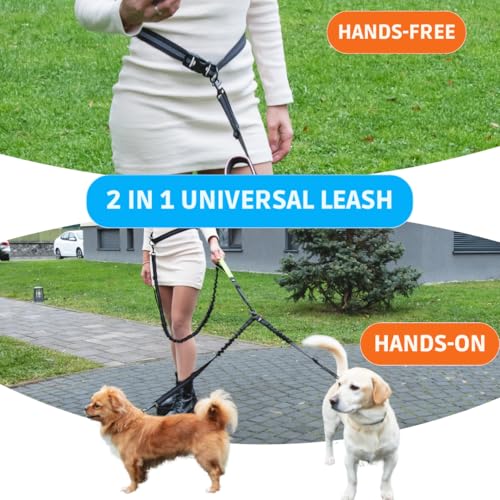 Hands Free Dual Dog Leash (Blue / 2 dogs S)