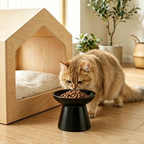 2 Pack Elevated Ceramic Cat Bowls Extra Wide for Food & Water (Black)