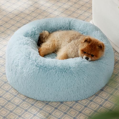 Calming Small Dog Bed Donut Washable Cat＆Puppy Bed (23"L x 23"W x 8"Th / Aqua Blue)