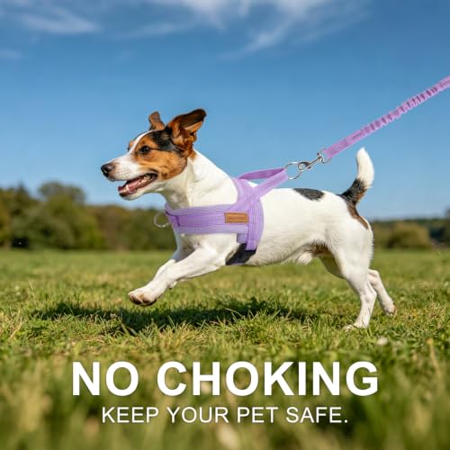 Small Dog Harness and Leash Set (Light Purple / S: Chest 17.5"-22")
