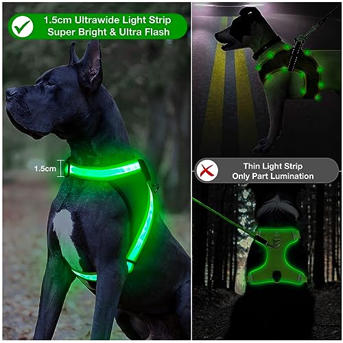Light Up Dog Harness (Medium / Green)