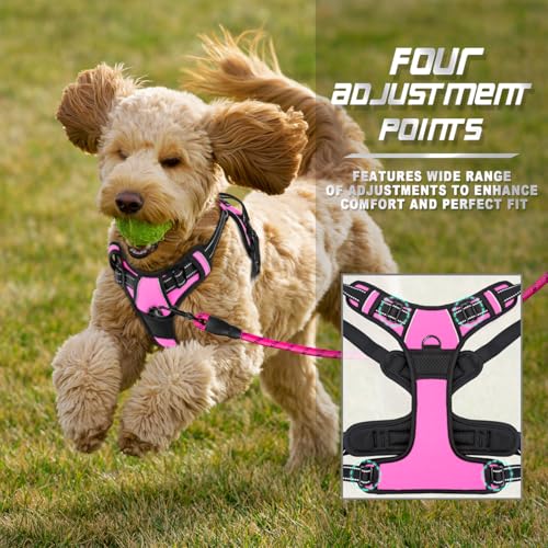 Dog Harness No Pull for Small Sized Dog Front Back Clips (X-Small(Chest:15.5-19.5”) / Pink)