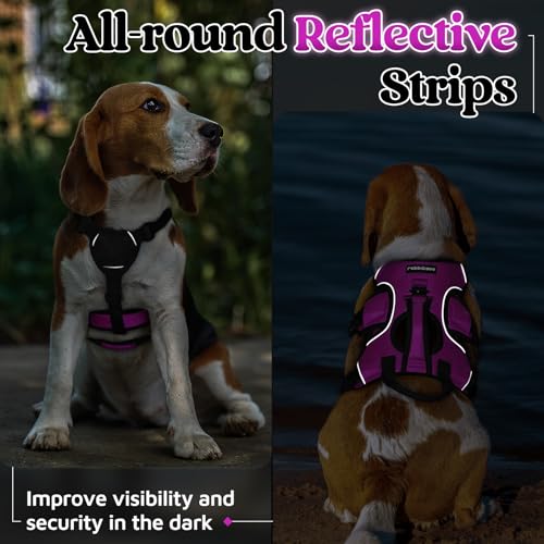 Escape Proof Dog Harness for Small (Purple / Small)