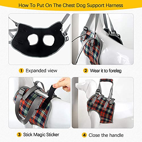 Dog Lift Harness (Large / Chest-Blue)