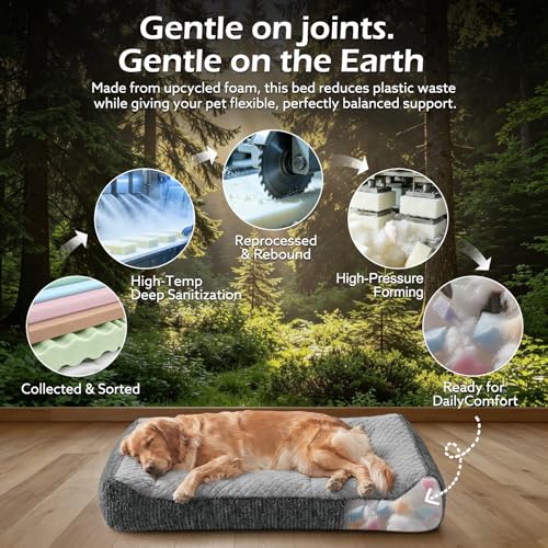 Orthopedic Dog Bed Medium Sized Dogs (L(35"L x 25"W x 8"Th) / Light Grey)