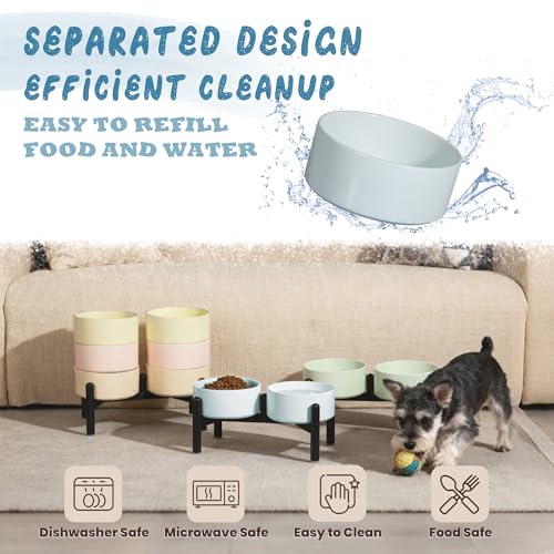 Ceramic Elevated Dog Bowl Set (Yellow / 3.5 Cups)
