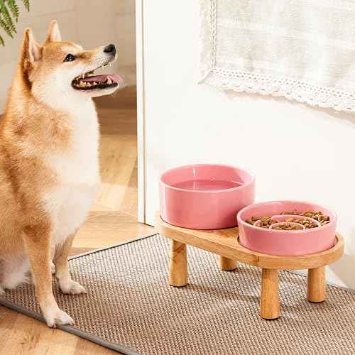 Ceramic Slow Feeder and Water Bowl Set for Small Dogs (Pink / 6" D)