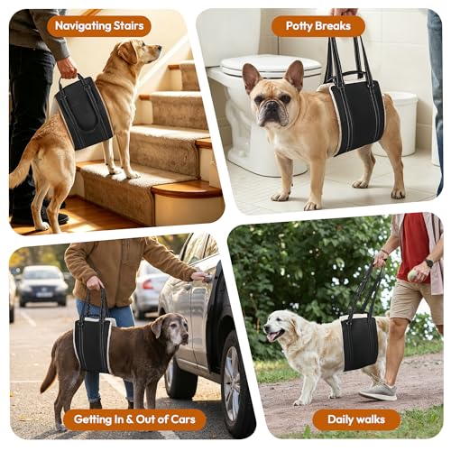 Adjustable Dog Lift Harness for Large & Medium Sized Dogs (black / Medium)