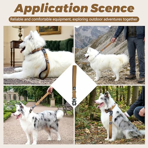 14 Inch Traffic Dog Leash with Padded Handle (Khaki)