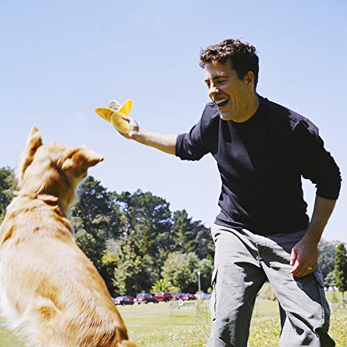 Dog Squeaky Toys (12 PCS)