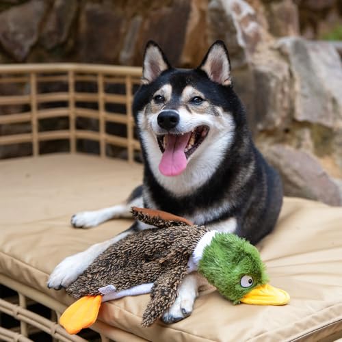 2-in-1 Stuffless Squeaky Dog Toy - Duck&Alligator, L (Multicolor/Alligator & Wild Duck / Large)