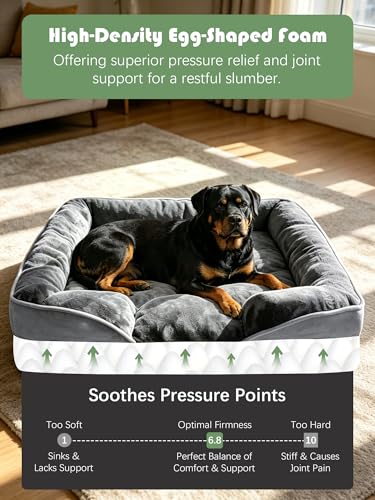 Orthopedic Dog Bed with Sides (42.0"L x 32.0"W x 6.5"Th / Grey)
