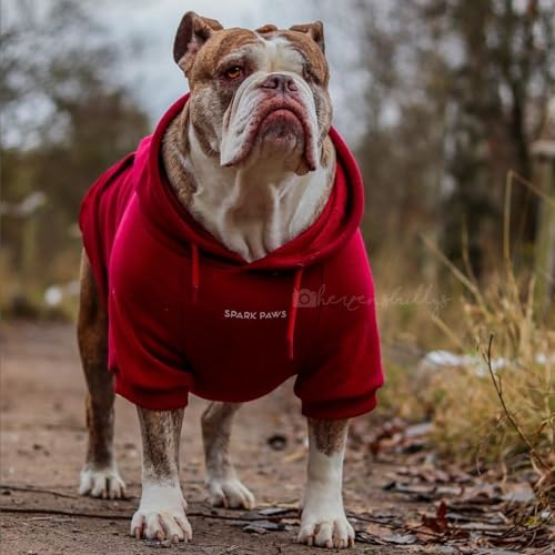 Dog Hoodie Buttery (Burgundy / Medium)